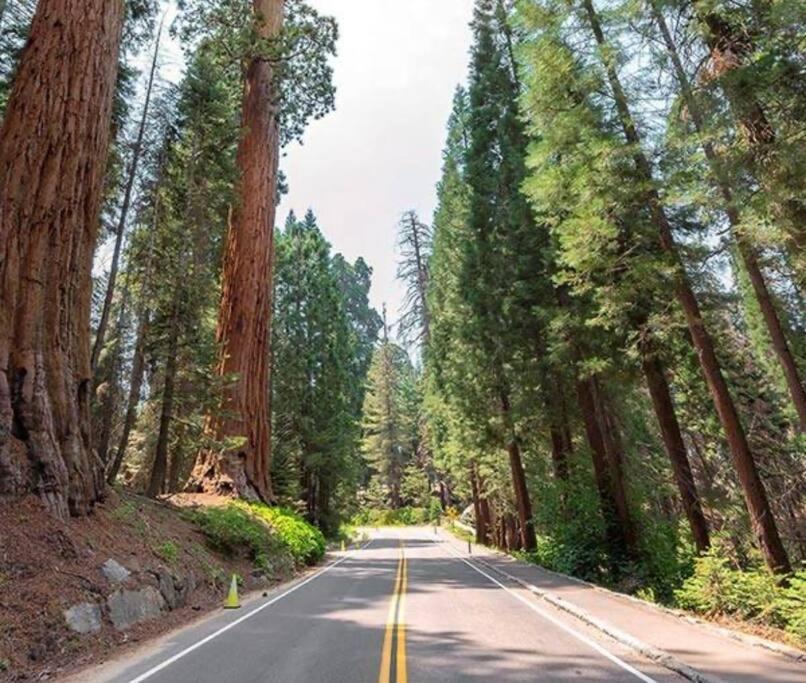 Sequoia Villa Visalia Dış mekan fotoğraf